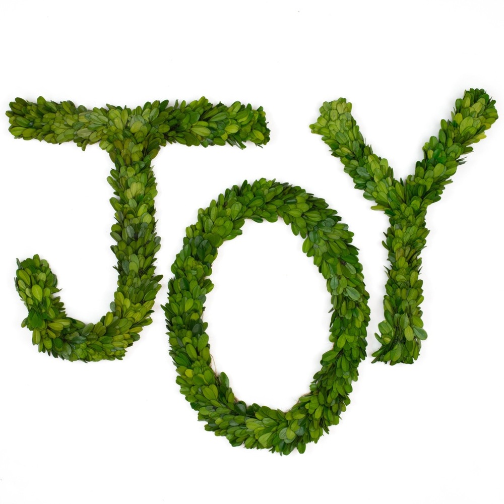 New Never Opened Real Preserved Boxwood Letters JOY. 12” Set